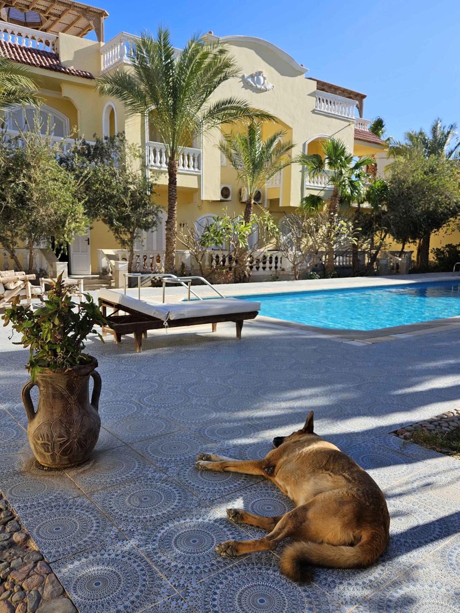 Villa Shahrazad Hurghada Buitenkant foto